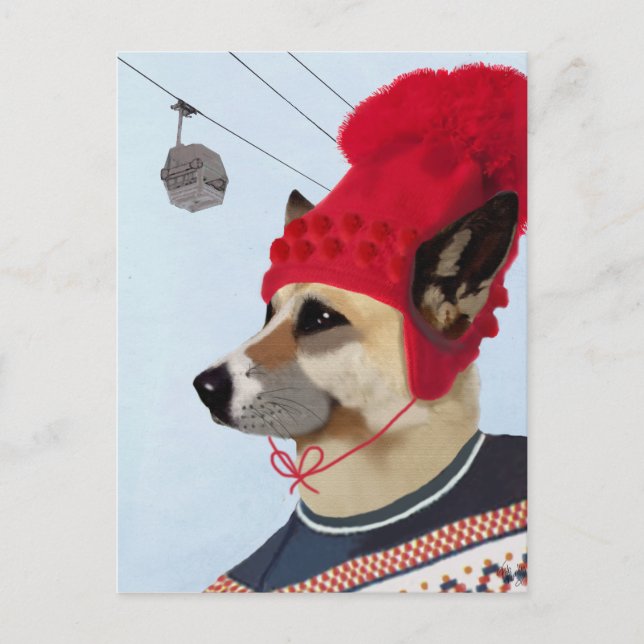 Carte Postale Chandail de chien en ski (Devant)