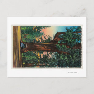 Carte Postale Chandelier, Underwood Park