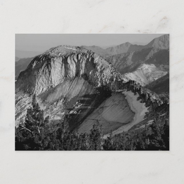 CARTE POSTALE CHANGEMENT CLIMATIQUE DANS LE WALLOWAS (Devant)