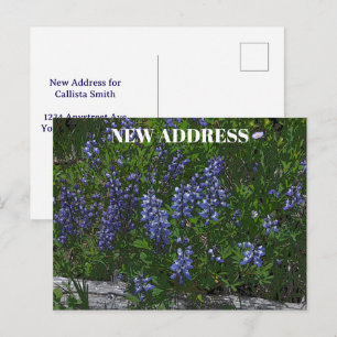 Carte Postale Changement d'adresse des lupins