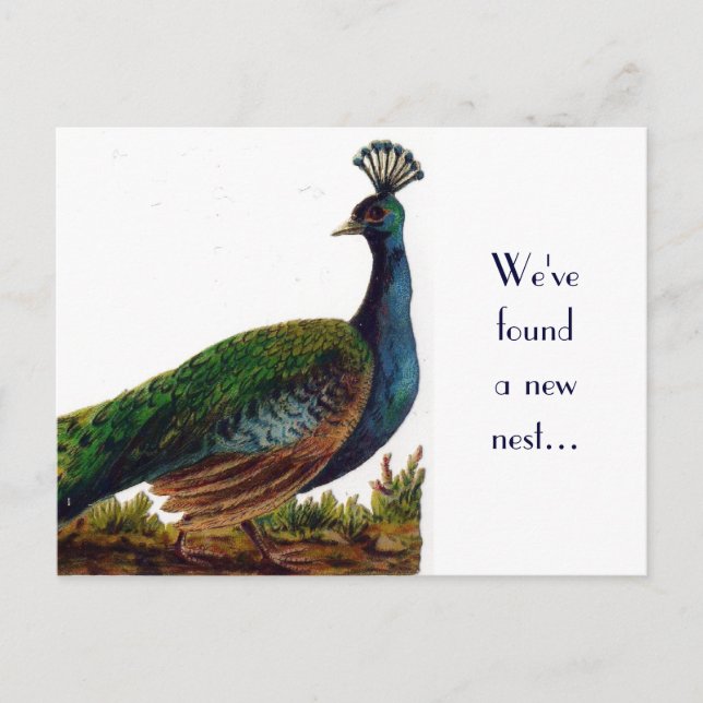 Carte postale Changement d'adresse Peacock vintage (Devant)