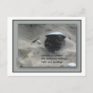 Carte Postale Changement de saison