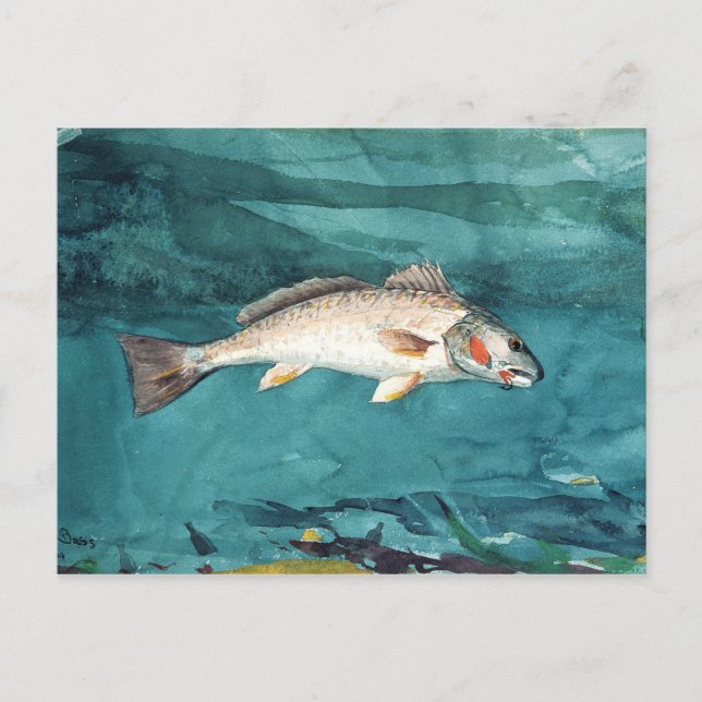 Carte Postale Channel Bass Peinture américaine par Homer (Devant)