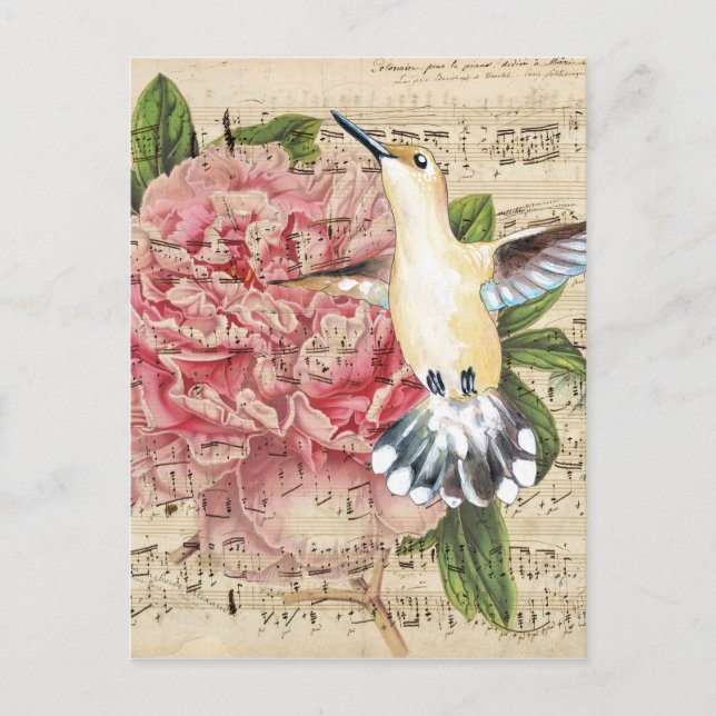 Carte Postale Chanson de colibri (Devant)