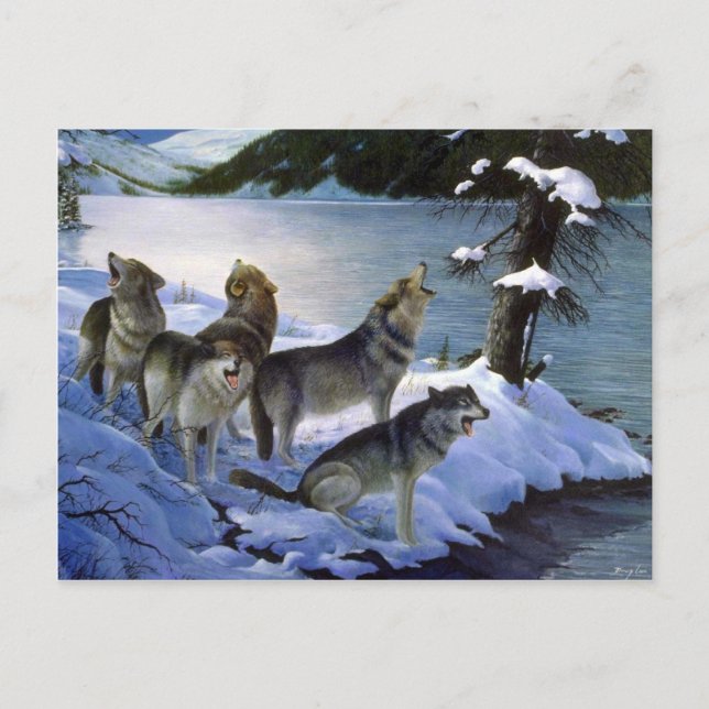 Carte Postale Chanson de loup, Wolves (Devant)