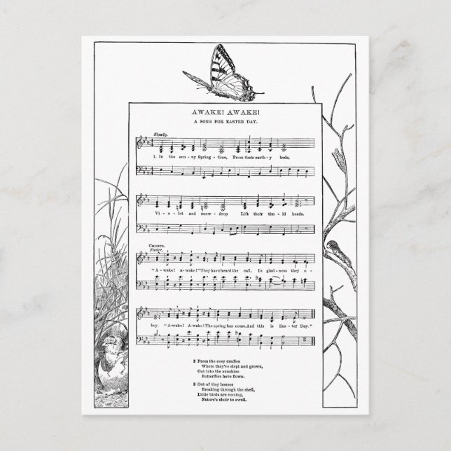 Carte Postale Chanson et papillon du réveil du printemps (Devant)