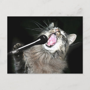 Carte Postale Chant chat