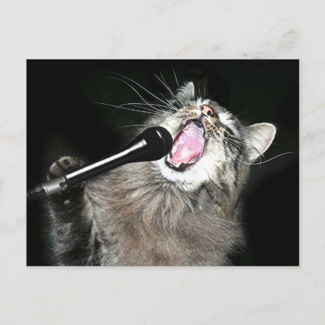 Carte Postale Chant chat (Devant)