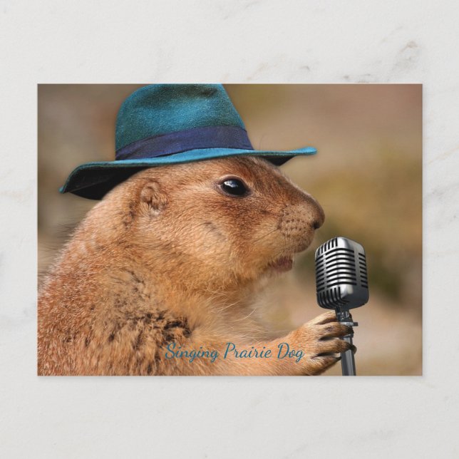 Carte Postale Chanter le chien des Prairies (Devant)