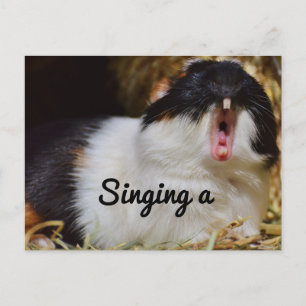 Carte Postale Chanter le cochon de Guinée