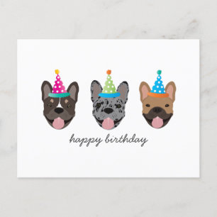 Carte Postale Chapeaux de fête d'anniversaire Bouledogue Françai