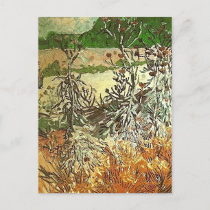 Carte Postale Chardons, Van Gogh Art