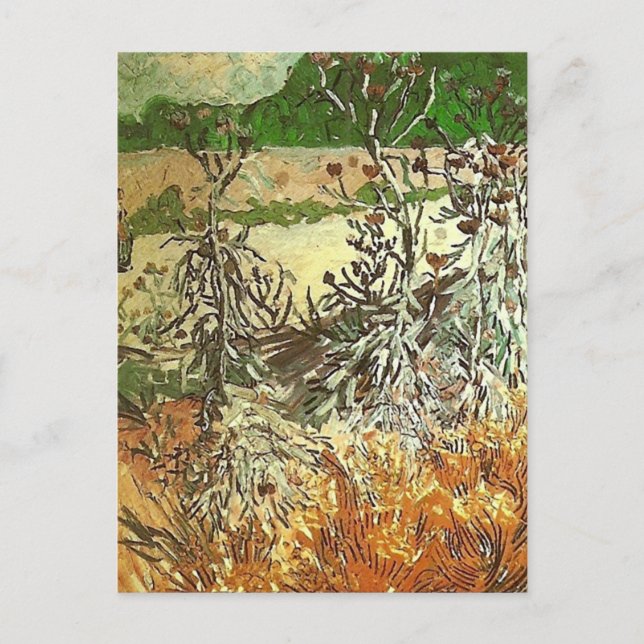 Carte Postale Chardons, Van Gogh Art (Devant)