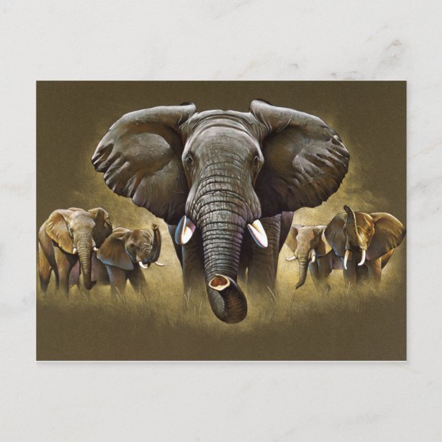 Carte Postale Chargement du troupeau d'éléphants (Devant)