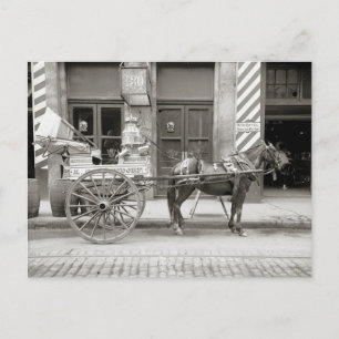 Carte Postale Chariot à lait de la Nouvelle-Orléans, 1910