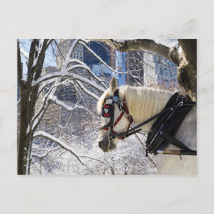 Carte Postale Chariot de transport hivernal neige à Central Park