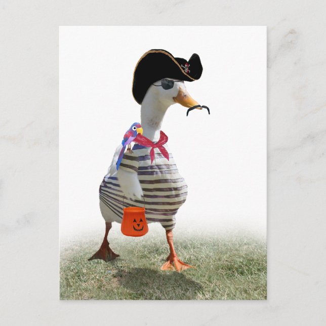 Carte Postale Chariot d'Halloween ou traitement du canard pirate (Devant)