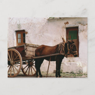 Carte Postale Chariot hippomobile démodé