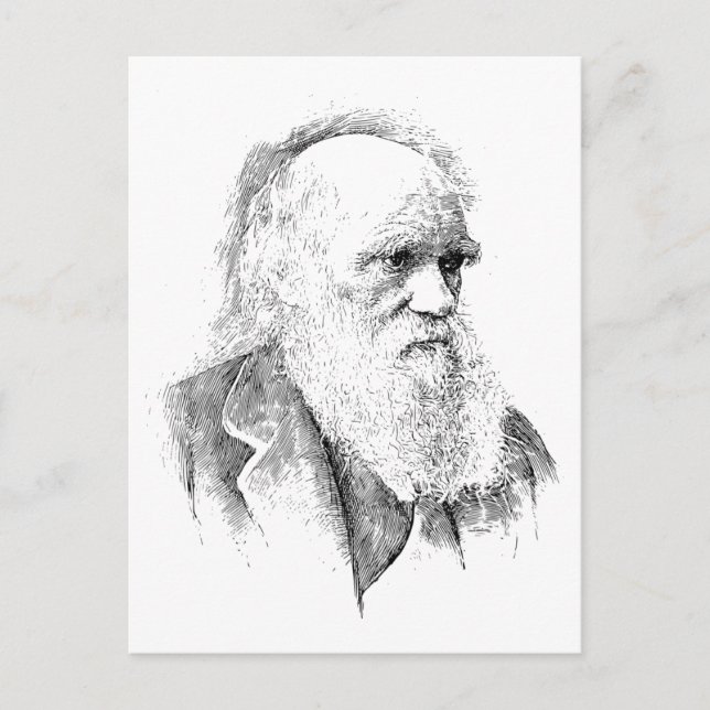 Carte Postale Charles Darwin, l'origine des espèces 1872 (Devant)