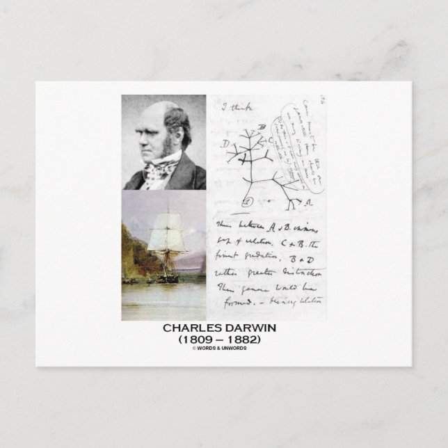 Carte Postale Charles Darwin (Phylogénétique Beagle Darwin HMS) (Devant)