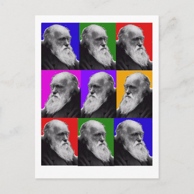 Carte Postale Charles Darwin POP ART T-shirt et cadeaux (Devant)