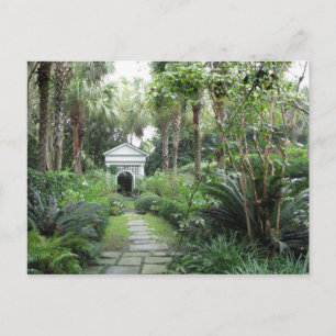 Carte postale Charleston SC Palmettos Garden & Gaz