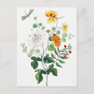 Carte postale Charming Still Life