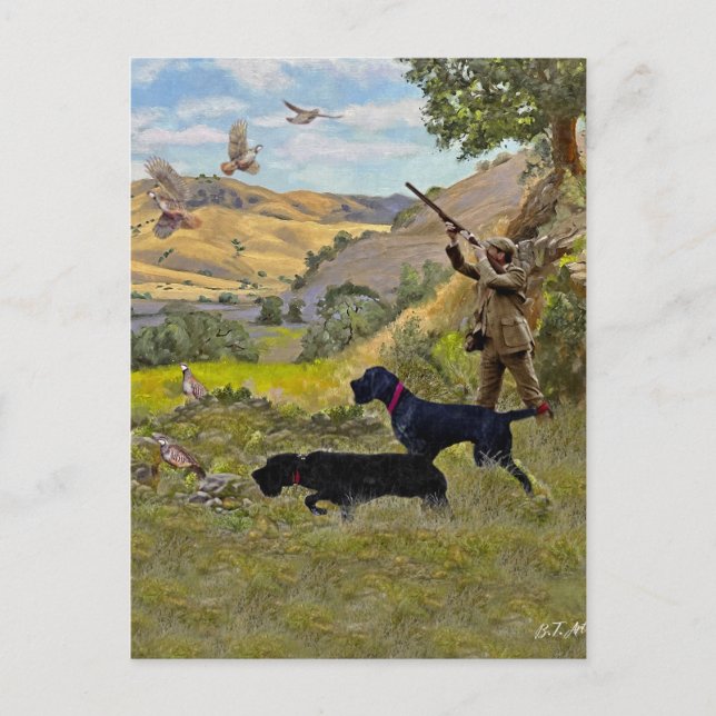 Carte Postale Chasse à la perdrix de Chukar (Devant)