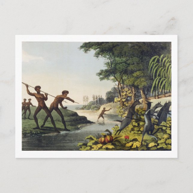 Carte Postale Chasse au Kangaroo, aborigines en Nouvelle-Galle d (Devant)