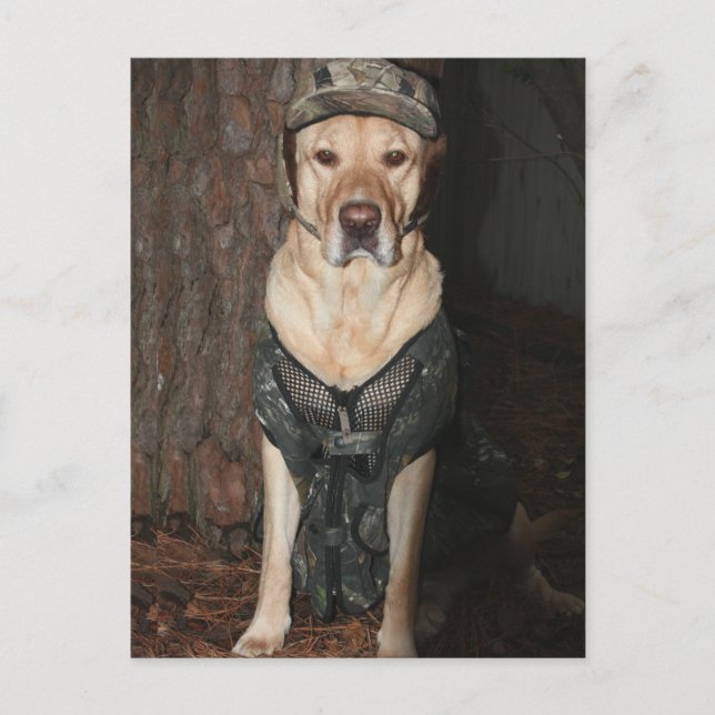 Carte postale Chasse au Laboratoire Jaune (Devant)