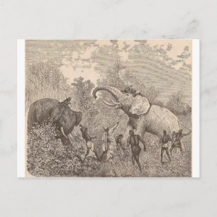 Carte Postale Chasse aux éléphants