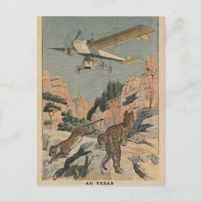 Carte Postale Chasse aux panthères à bord d'un avion au Texas (Devant)