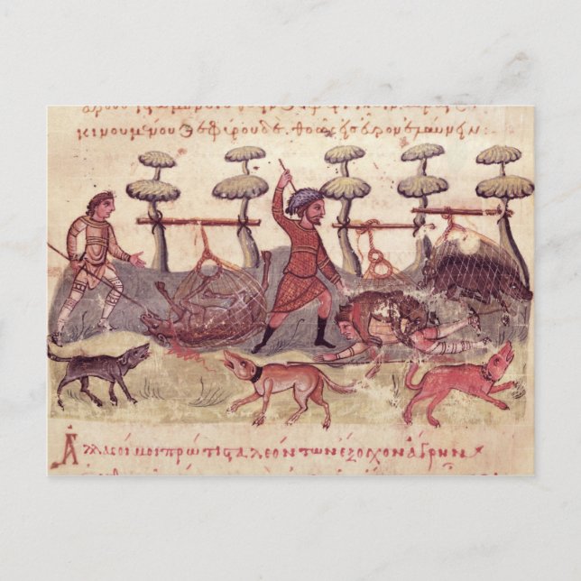 Carte Postale Chasse avec les moustiquaires (Devant)