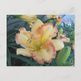 Carte Postale Chasser le Soleil II, Chasser le Soleil II