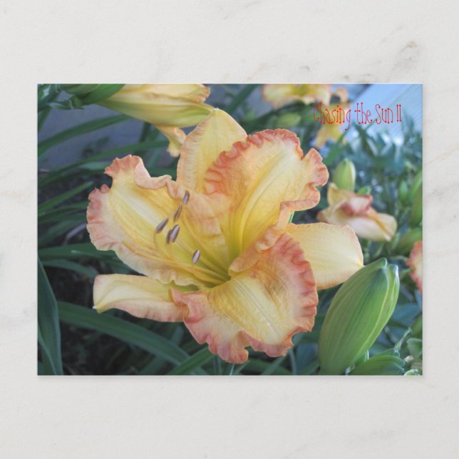 Carte Postale Chasser le Soleil II, Chasser le Soleil II (Devant)