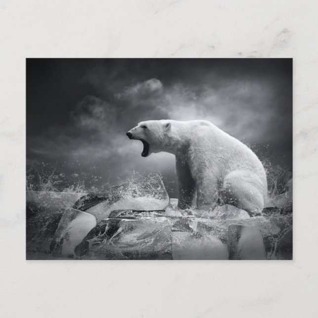 Carte Postale Chasseur d'ours blanc sur la glace dans l'eau (Devant)