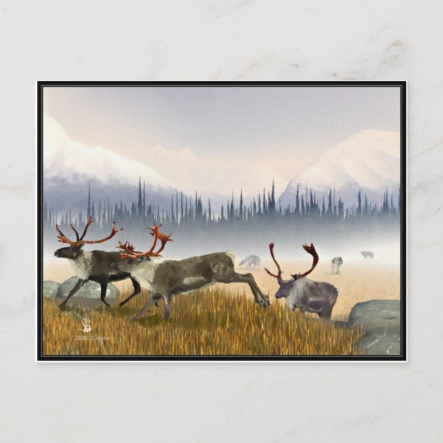 Carte Postale Chasseurs Dans La Poisson (Caribou) (Devant)