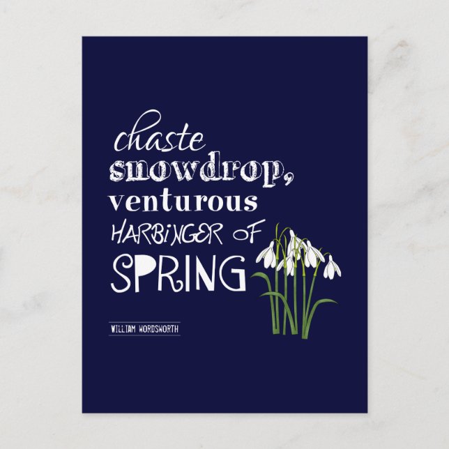 Carte Postale Chaste Snowdrop, Venturous Harbinger du printemps (Devant)