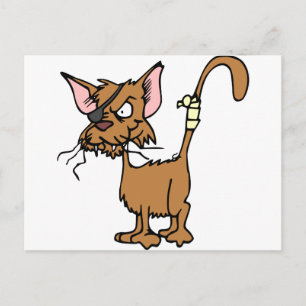 Carte Postale Chat