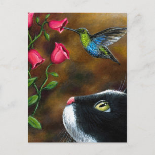 Carte Postale Chat 571 Tuxedo avec colibri