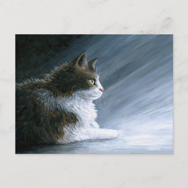 Carte Postale Chat 594 (Devant)