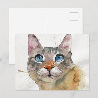 Carte Postale Chat à l'aquarelle
