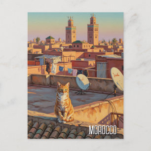 Carte Postale Chat à Marrakech Maroc Voyage