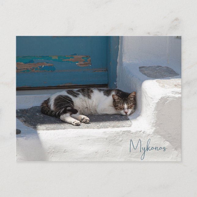 Carte Postale Chat à Mykonos (Devant)