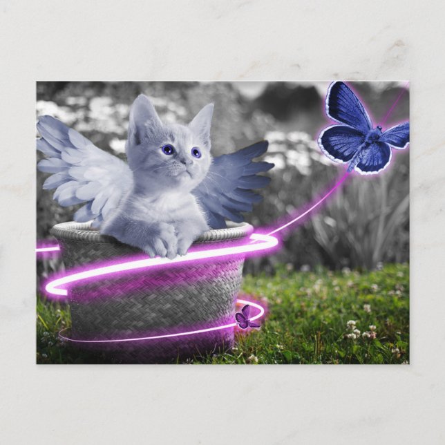 Carte Postale chat ange (Devant)