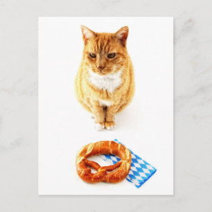 Carte Postale Chat assis devant le bretzel de l'Oktoberfest