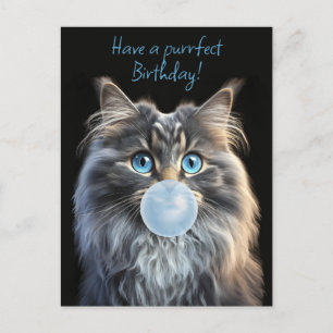 Carte Postale Chat aux yeux bleus soufflant une gomme à bulle bl