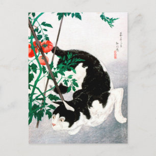 Carte Postale Chat avec Plante de tomate - Hiroaki Takahashi - A