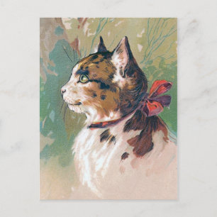 Carte Postale Chat avec ruban rouge illustration Vintage