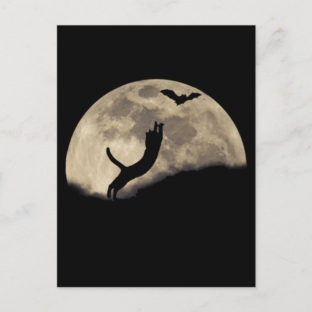 Carte Postale Chat Bat Moon (Devant)